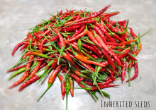 Load image into Gallery viewer, Chilli Thai Hot
