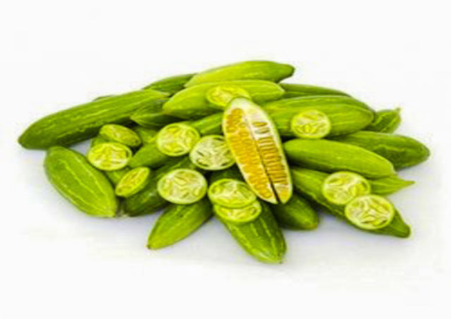 Tindoora ( Ivy Gourd / Dondakaya / Coccinia Indica) – Inherited Seeds
