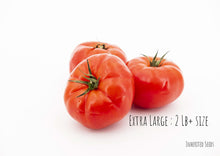 Load image into Gallery viewer, Tomato Classic Beefsteak

