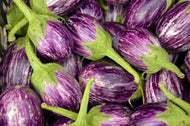  “Rare heirloom Udumalaipet Eggplant seeds – high-yield, non-GMO variety for organic gardens”