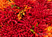 Load image into Gallery viewer, Chilli Tabasco Hot
