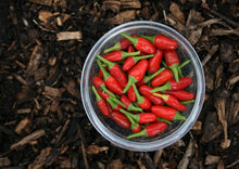 Load image into Gallery viewer, Hot Chilli Peppers Collection Value Pack (12 Varieties)
