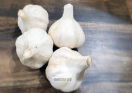 German Red Hardneck Garlic