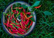 Chilli Peri Peri