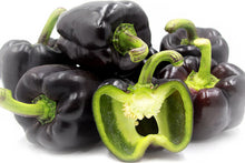 Load image into Gallery viewer, Bell Pepper Purple Beauty
