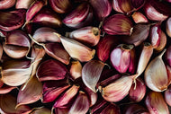 Spanish Roja Hardneck Garlic (Gormet) 1 LB