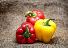 Load image into Gallery viewer, Bell Pepper Golden Yellow Premium
