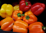 Bell Pepper Horizon Orange