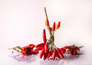 Chilli Kanthari / Indian Birdseye