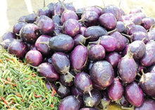 Load image into Gallery viewer, Eggplant Indian Small Round (Thai Purple Baby Eggplant)
