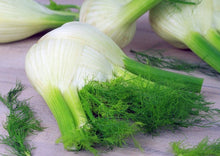 Load image into Gallery viewer, Fennel Florence
