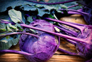 Kohlrabi Purple Vienna