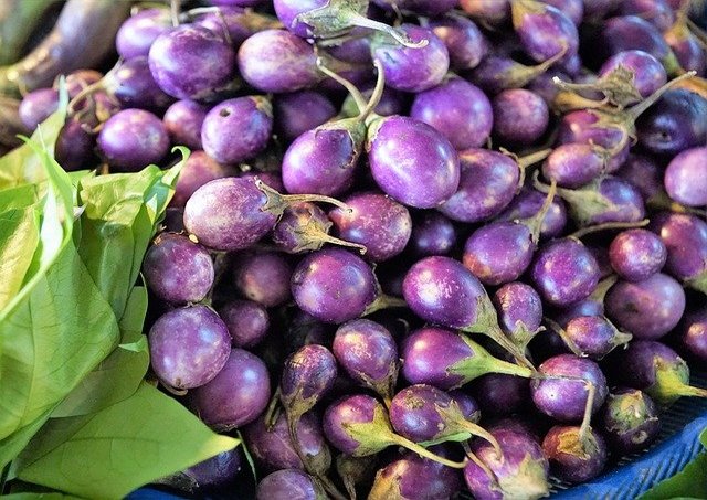 Eggplant Indian Small Round (Thai Purple Baby Eggplant)