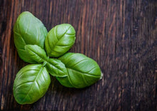 Load image into Gallery viewer, Basil Italian Large Leaf
